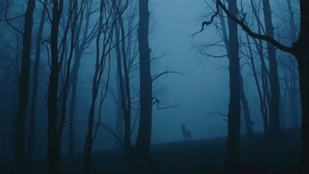 Varghunden 2 och myten om den vita vargen